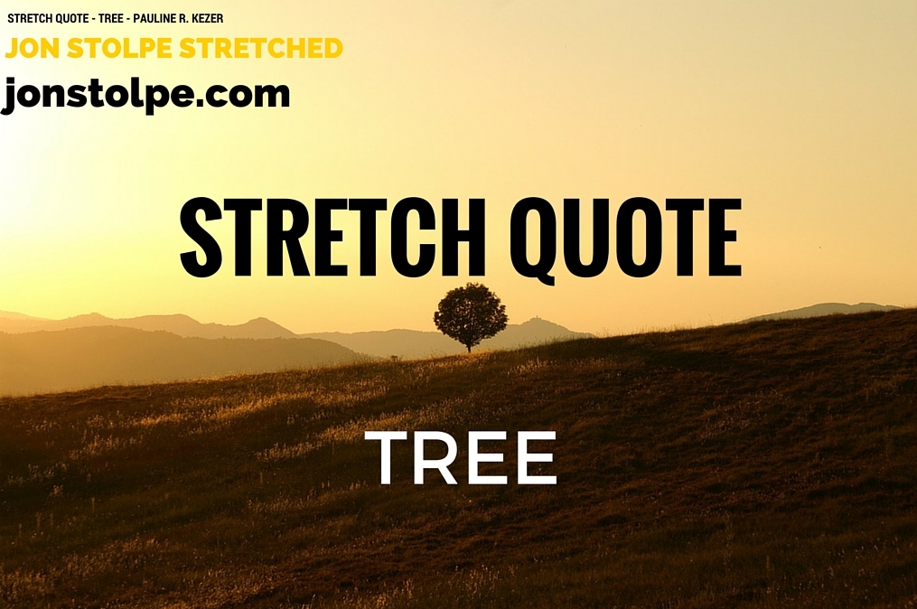 STRETCH QUOTE Tree